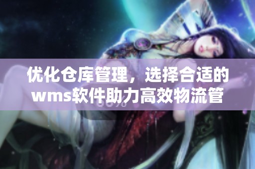 优化仓库管理，选择合适的wms软件助力高效物流管理