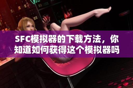 SFC模拟器的下载方法，你知道如何获得这个模拟器吗