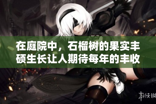 在庭院中，石榴树的果实丰硕生长让人期待每年的丰收季节