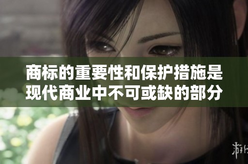 商标的重要性和保护措施是现代商业中不可或缺的部分