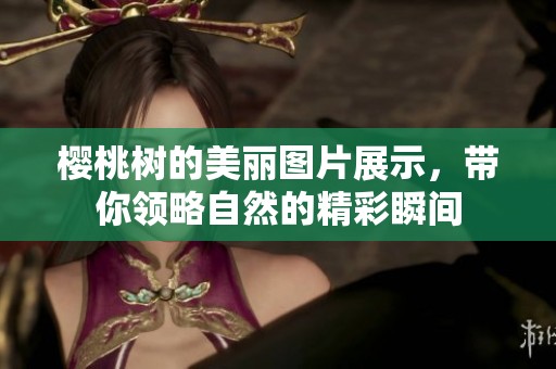 樱桃树的美丽图片展示，带你领略自然的精彩瞬间