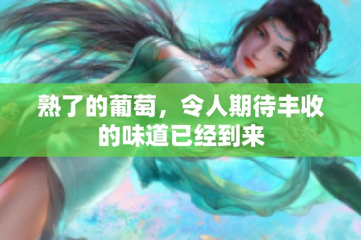 熟了的葡萄，令人期待丰收的味道已经到来
