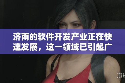 济南的软件开发产业正在快速发展，这一领域已引起广泛关注。