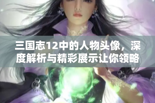 三国志12中的人物头像，深度解析与精彩展示让你领略魅力无穷