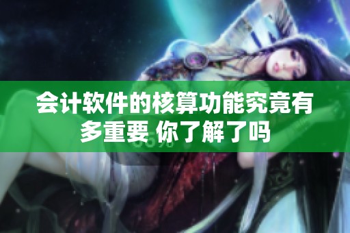 会计软件的核算功能究竟有多重要 你了解了吗
