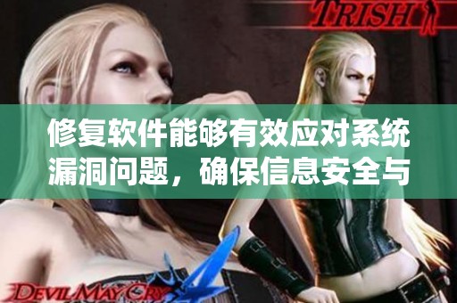 修复软件能够有效应对系统漏洞问题，确保信息安全与系统稳定性