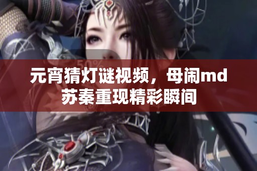元宵猜灯谜视频，母闹md苏秦重现精彩瞬间