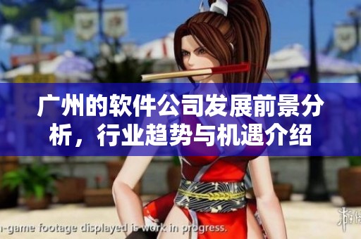 广州的软件公司发展前景分析，行业趋势与机遇介绍