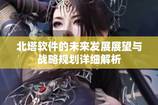 北塔软件的未来发展展望与战略规划详细解析