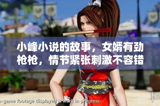 小峰小说的故事，女婿有劲枪枪，情节紧张刺激不容错过