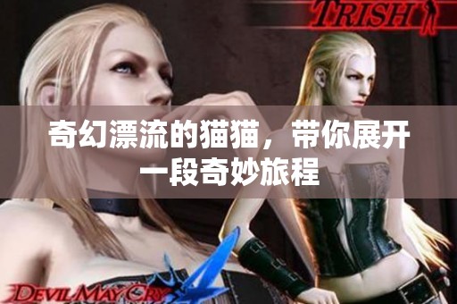 奇幻漂流的猫猫，带你展开一段奇妙旅程