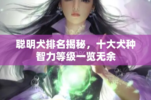 聪明犬排名揭秘，十大犬种智力等级一览无余