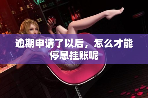 逾期申请了以后，怎么才能停息挂账呢