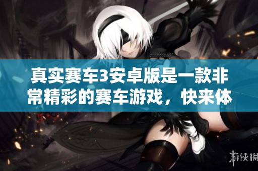 真实赛车3安卓版是一款非常精彩的赛车游戏，快来体验吧！