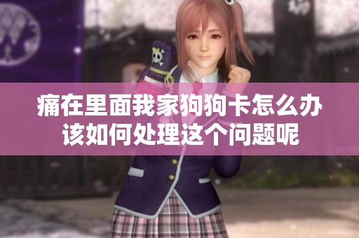 痛在里面我家狗狗卡怎么办该如何处理这个问题呢