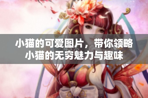 小猫的可爱图片，带你领略小猫的无穷魅力与趣味