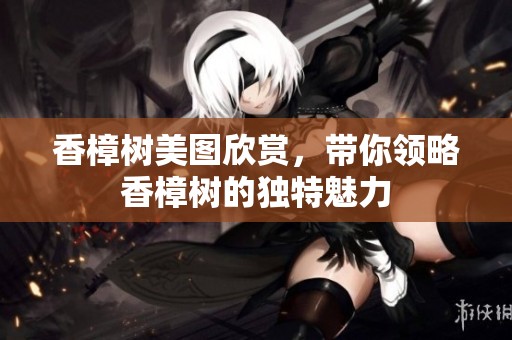 香樟树美图欣赏，带你领略香樟树的独特魅力