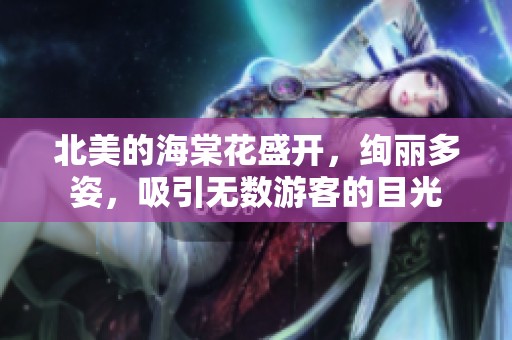 北美的海棠花盛开，绚丽多姿，吸引无数游客的目光