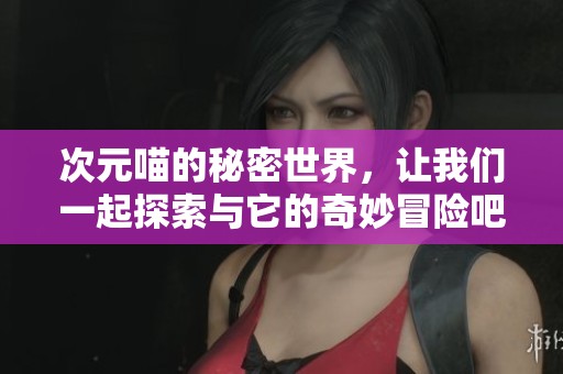 次元喵的秘密世界，让我们一起探索与它的奇妙冒险吧