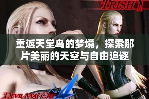 重返天堂鸟的梦境，探索那片美丽的天空与自由追逐