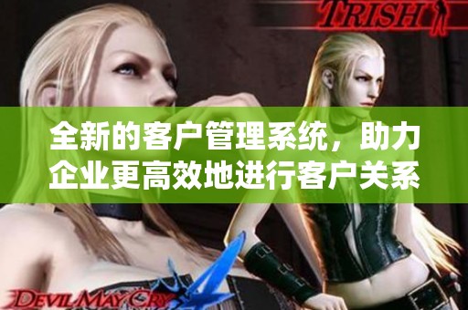 全新的客户管理系统，助力企业更高效地进行客户关系维护与管理