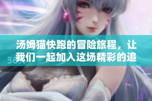 汤姆猫快跑的冒险旅程，让我们一起加入这场精彩的追逐吧