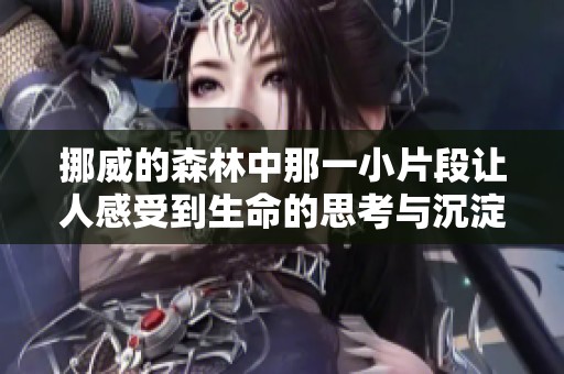 挪威的森林中那一小片段让人感受到生命的思考与沉淀