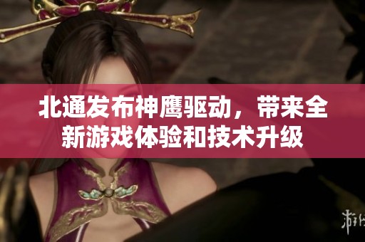 北通发布神鹰驱动，带来全新游戏体验和技术升级