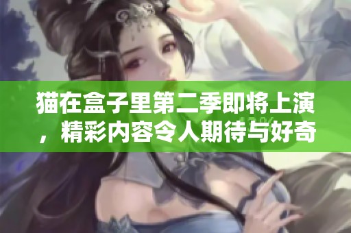 猫在盒子里第二季即将上演，精彩内容令人期待与好奇