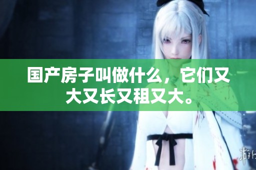 国产房子叫做什么，它们又大又长又租又大。