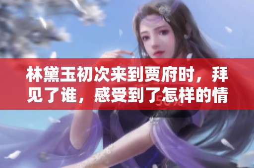 林黛玉初次来到贾府时，拜见了谁，感受到了怎样的情景呢