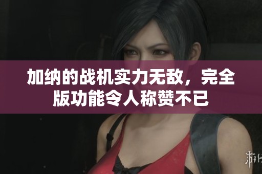 加纳的战机实力无敌，完全版功能令人称赞不已