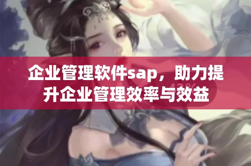 企业管理软件sap，助力提升企业管理效率与效益