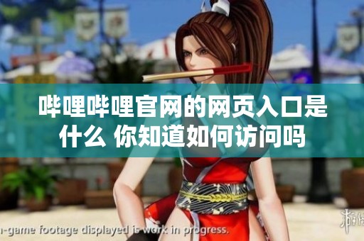 哔哩哔哩官网的网页入口是什么 你知道如何访问吗