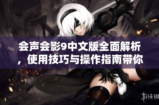 会声会影9中文版全面解析，使用技巧与操作指南带你入门