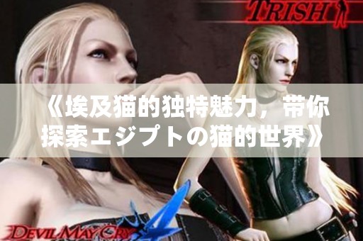 《埃及猫的独特魅力，带你探索エジプトの猫的世界》
