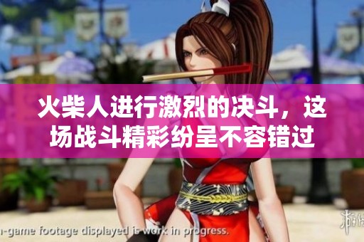 火柴人进行激烈的决斗，这场战斗精彩纷呈不容错过