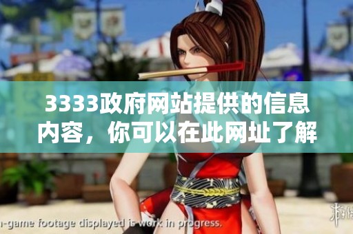 3333政府网站提供的信息内容，你可以在此网址了解更多详情和服务。