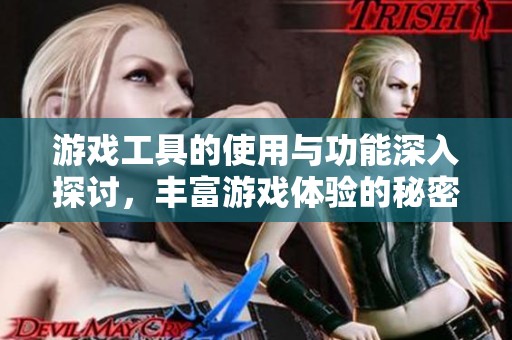 游戏工具的使用与功能深入探讨，丰富游戏体验的秘密揭晓