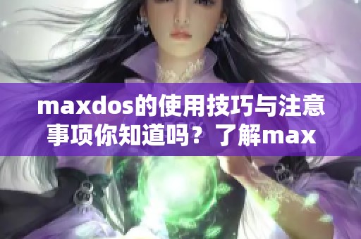 maxdos的使用技巧与注意事项你知道吗？了解maxdos的最佳实践与潜在风险
