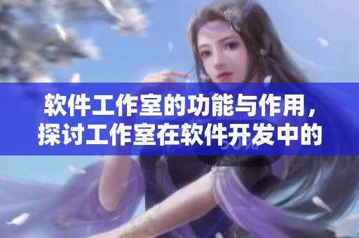 软件工作室的功能与作用，探讨工作室在软件开发中的重要性与影响。