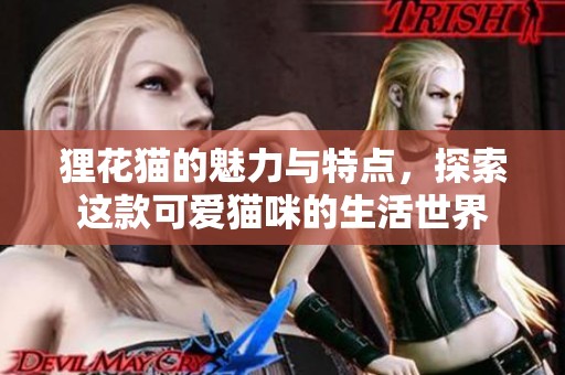 狸花猫的魅力与特点，探索这款可爱猫咪的生活世界