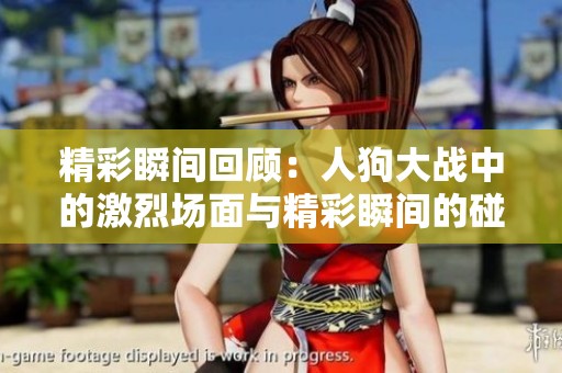 精彩瞬间回顾：人狗大战中的激烈场面与精彩瞬间的碰撞
