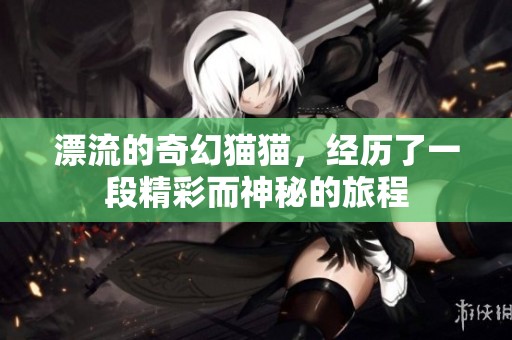 漂流的奇幻猫猫，经历了一段精彩而神秘的旅程