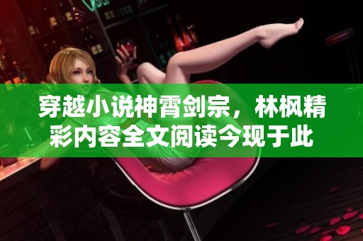 穿越小说神霄剑宗，林枫精彩内容全文阅读今现于此
