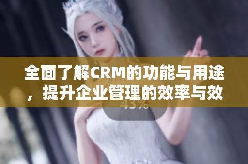全面了解CRM的功能与用途，提升企业管理的效率与效果