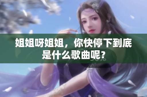 姐姐呀姐姐，你快停下到底是什么歌曲呢？