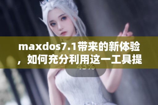 maxdos7.1带来的新体验，如何充分利用这一工具提升工作效率