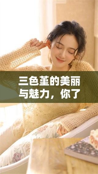 三色堇的美丽与魅力，你了解这个花卉的故事吗