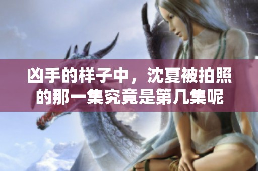凶手的样子中，沈夏被拍照的那一集究竟是第几集呢